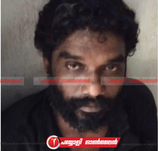 റിമാൻഡു കഴിഞ്ഞിറങ്ങിയ പ്രതി കൊല്ലം ആനക്കുളത്ത്  വീണ്ടും മോഷണ കേസ്സിൽ പോലീസ് പിടിയിൽ