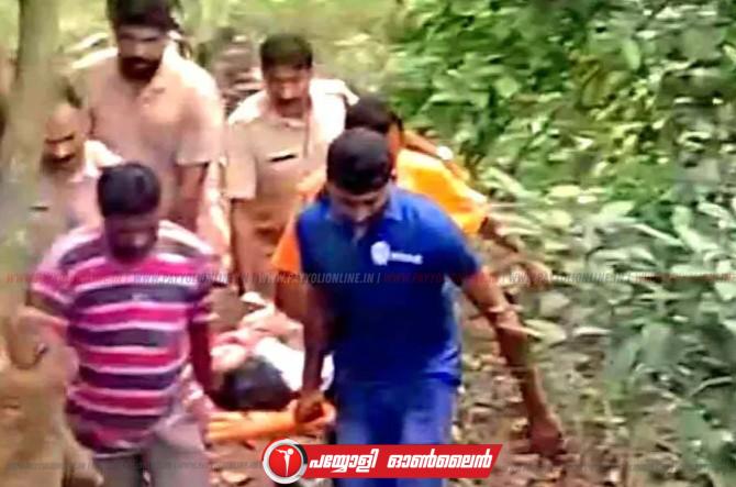 അതിരപ്പിള്ളിയിൽ കാർ കൊക്കയിലേക്ക് മറിഞ്ഞു; 10 പേർക്ക് പരിക്ക്