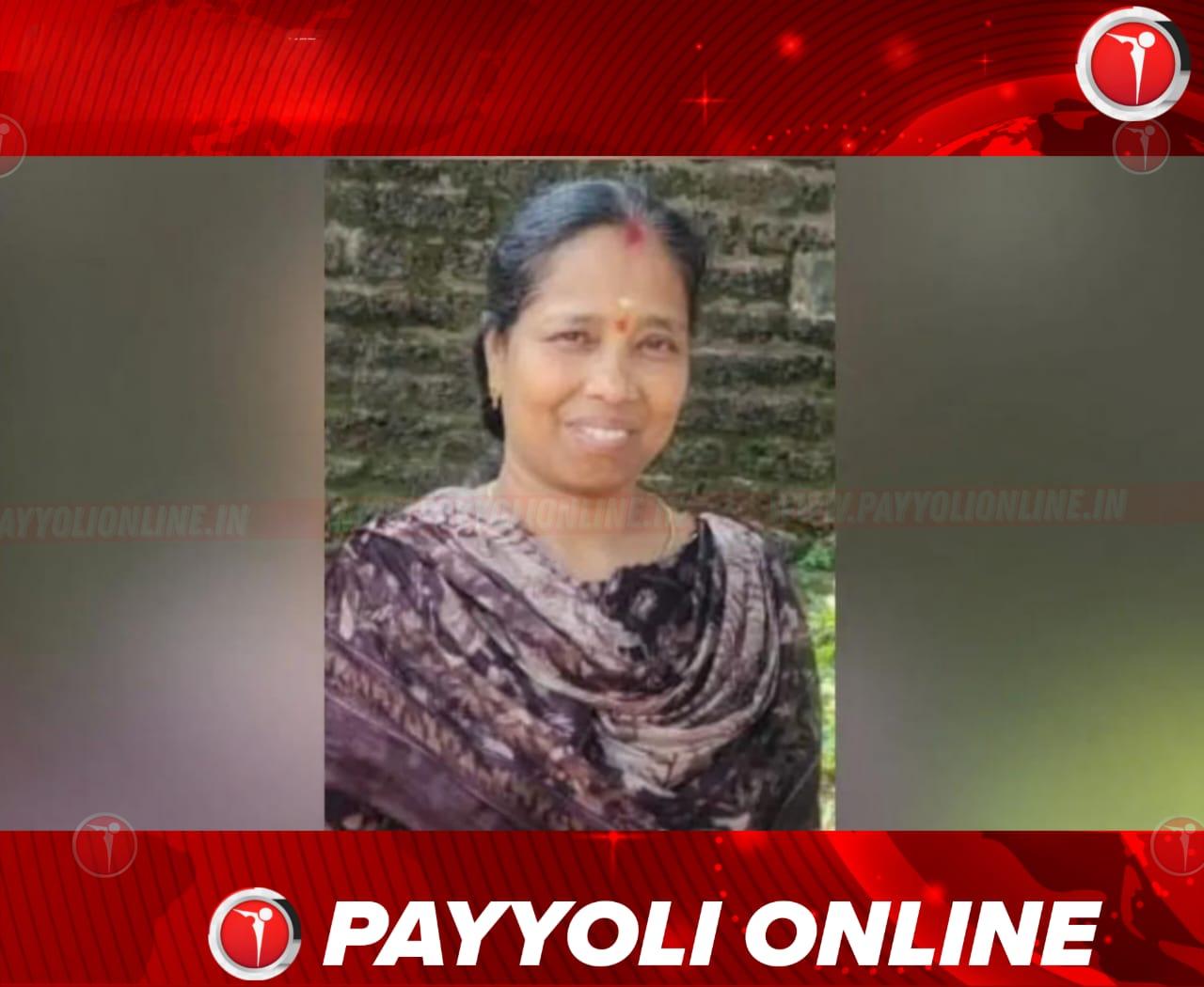 മകനൊപ്പം ബൈക്കിൽ സഞ്ചരിക്കവേ റോഡിലേക്ക് തെറിച്ചു വീണു; വടകര സ്വദേശിനിക്ക് ദാരുണാന്ത്യം