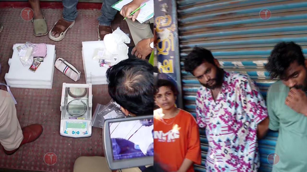 പാലക്കാട് വൻ ലഹരിവേട്ട; ഒരു കോടിയുടെ ലഹരിയുമായി ദമ്പതികളടക്കം മൂന്ന് പേർ പിടിയിൽ