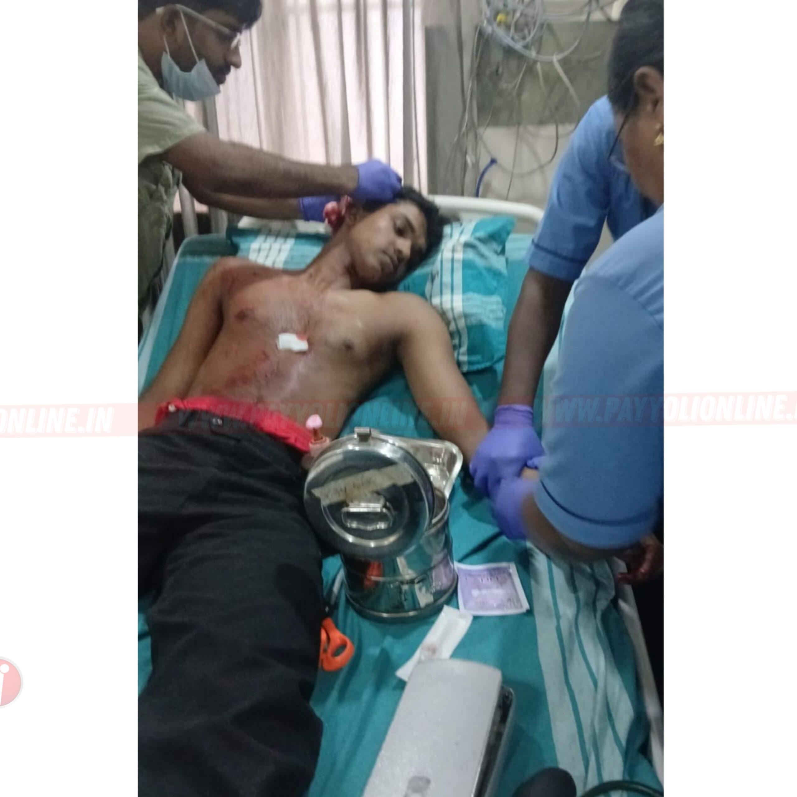 നാദാപുരത്ത് വന്യജീവി ആക്രമണം: രണ്ടുപേർക്ക് പരിക്ക്
